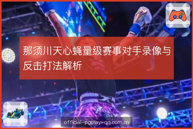 那须川天心蝇量级赛事对手录像与反击打法解析