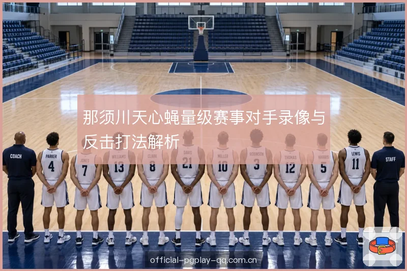 那须川天心蝇量级赛事对手录像与反击打法解析